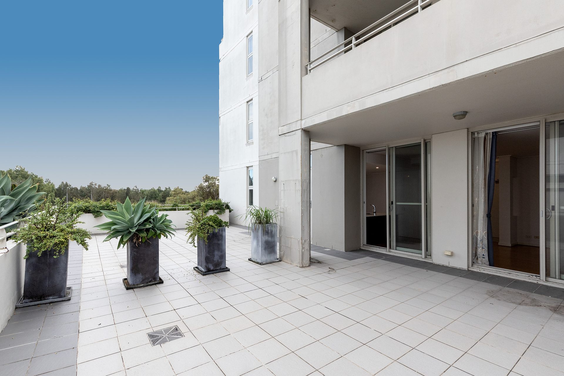 505/2 The Piazza, Wentworth Point For Lease by The Gallery Real Estate - image 1