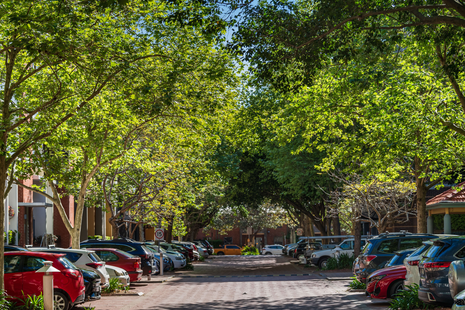 R404/780 Bourke Street, Redfern Leased by The Gallery Real Estate - image 1