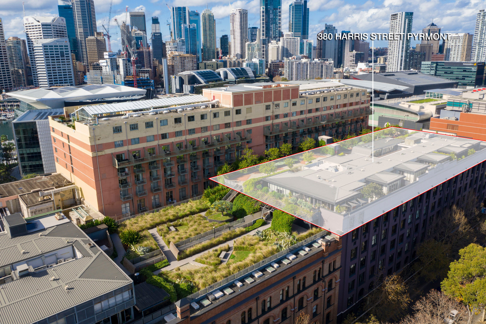 210/380 Harris St, Pyrmont For Lease by The Gallery Real Estate - image 9