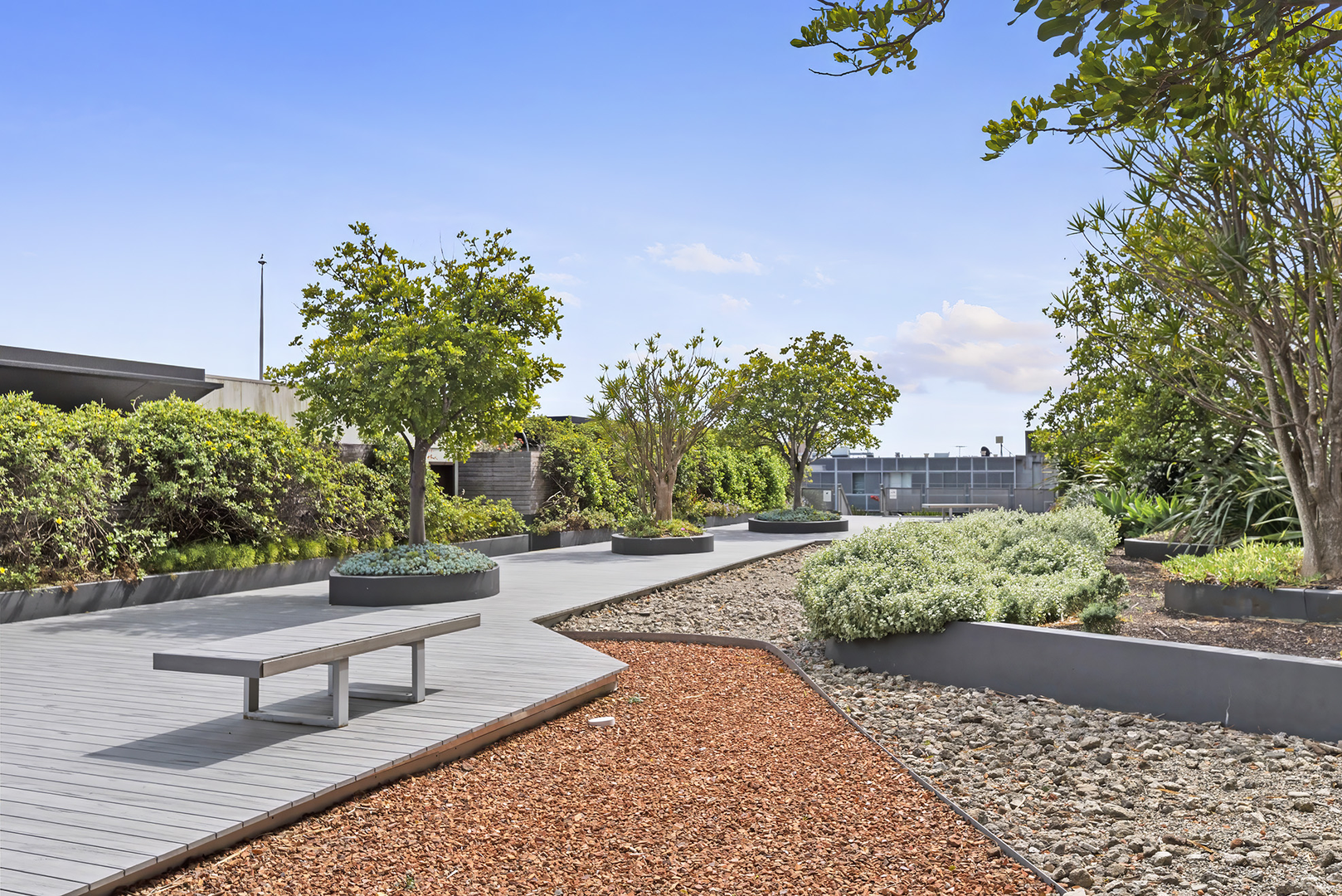 209/380 Harris Street, Pyrmont Leased by The Gallery Real Estate - image 7