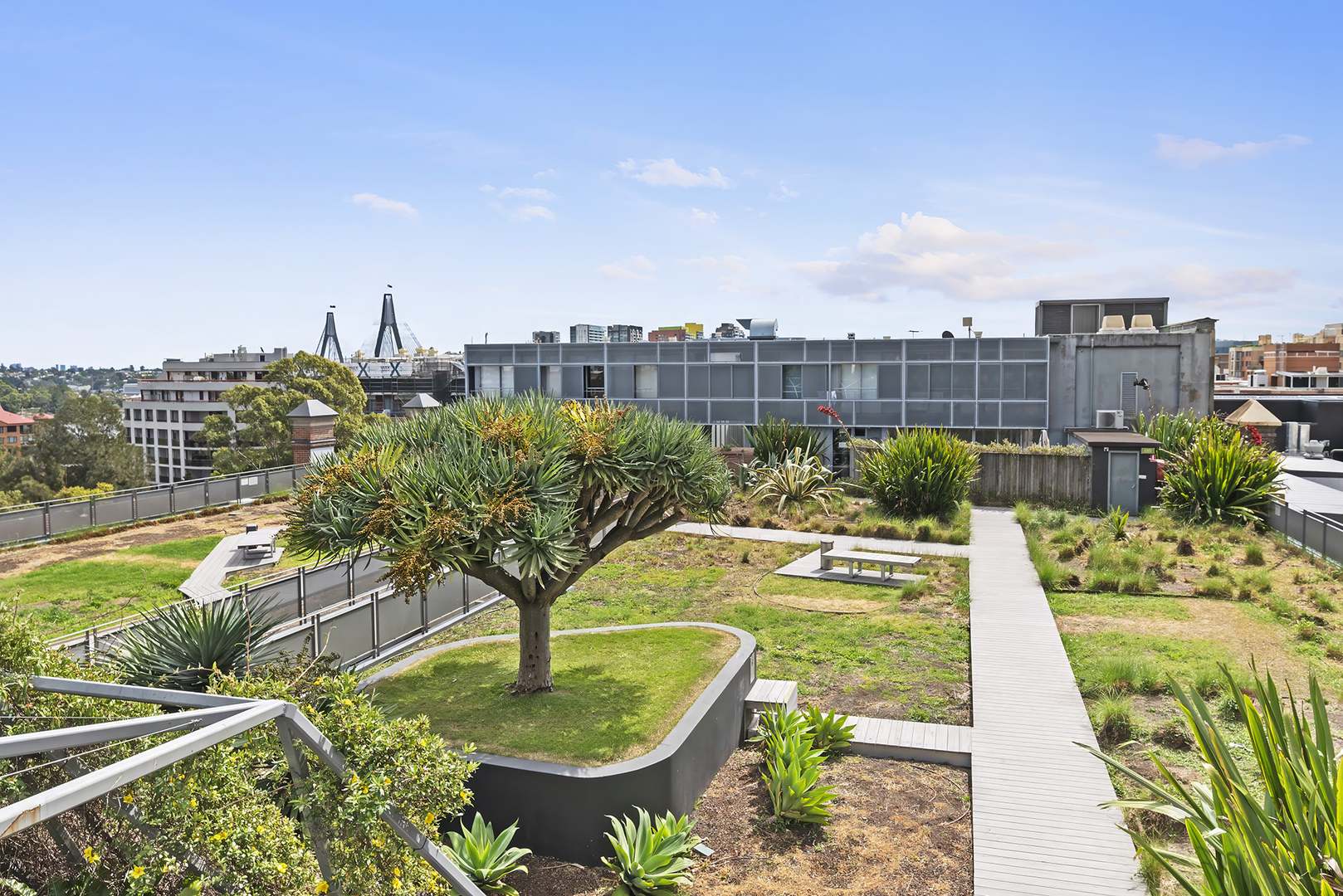 209/380 Harris Street, Pyrmont Leased by The Gallery Real Estate - image 6